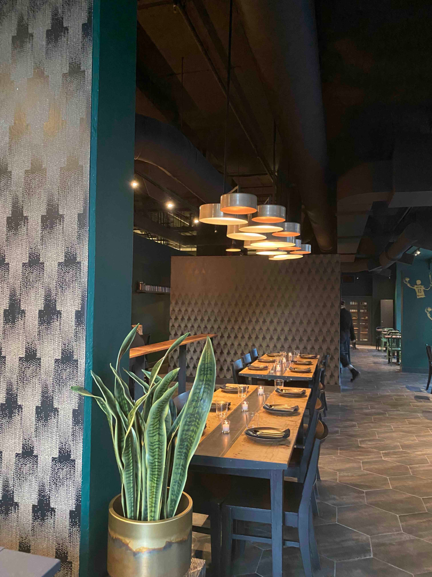 Patterned wallpaper and greenery by the entrance